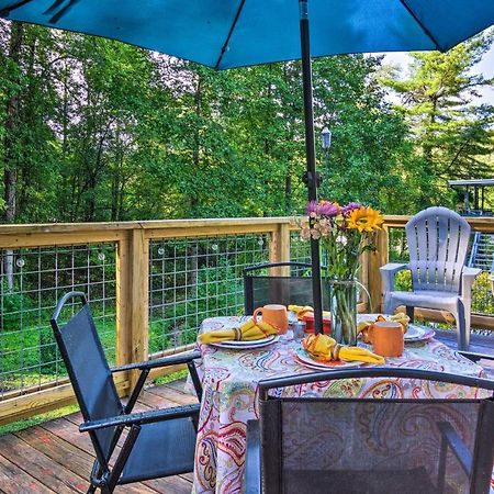 Shaw Creek Cottage With Fire Pit And Forest Views Hendersonville Exteriér fotografie