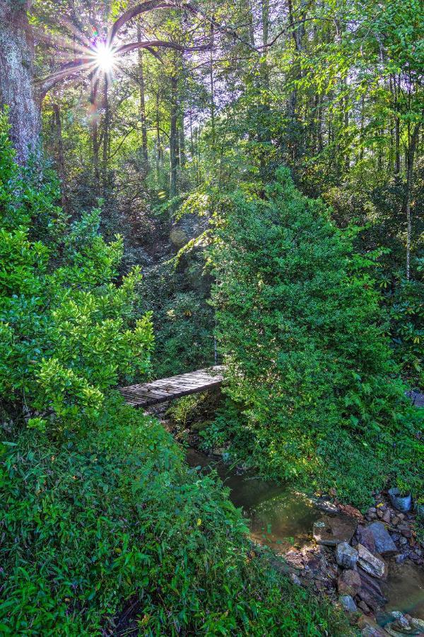 Shaw Creek Cottage With Fire Pit And Forest Views Hendersonville Exteriér fotografie